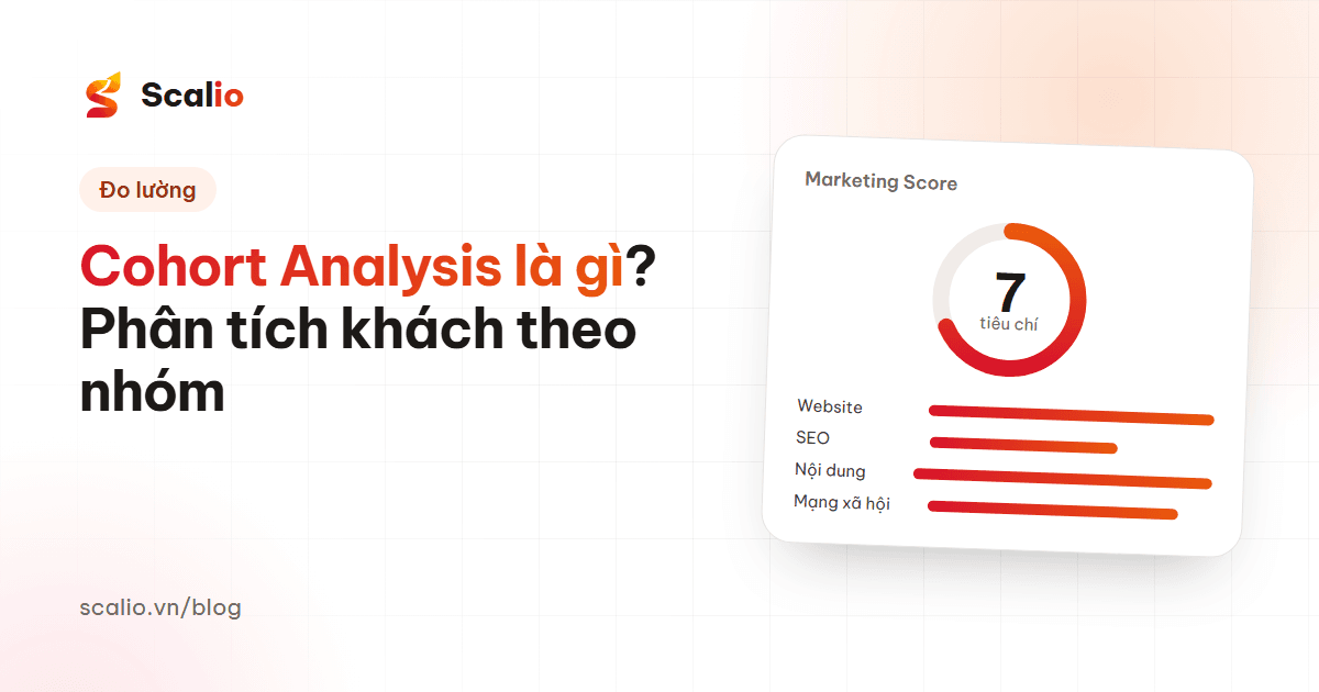 Cohort Analysis là gì? Cách phân tích hành vi khách hàng theo nhóm